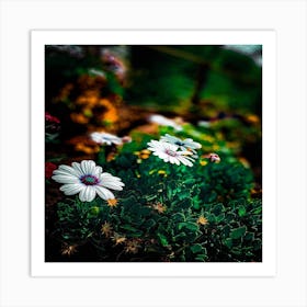 Daisies In The Garden Art Print