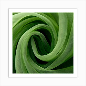 Green Tulip Art Print