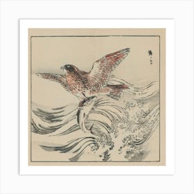 Hawk And Fish Art Print