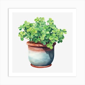 Shamrock Plant Art Print