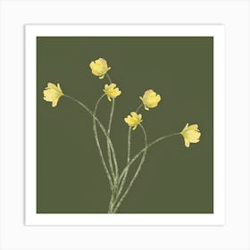 Yellow Daffodils Art Print