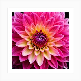 Vibrant pink dahlia flower 10 Art Print