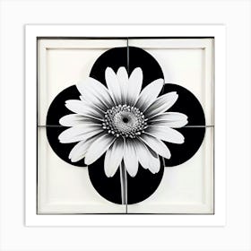 Symmetry In A Daisy Bloom Art Print