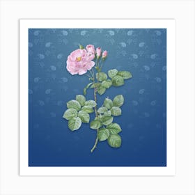 Vintage Damask Rose Botanical on Bahama Blue Pattern n.1510 Art Print