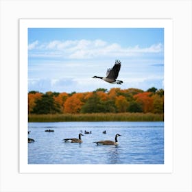 Canadian Geese 41 Art Print