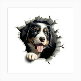 Bernese Mountain Dog Art Print