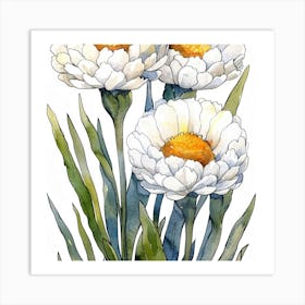 White Daisies Art Print