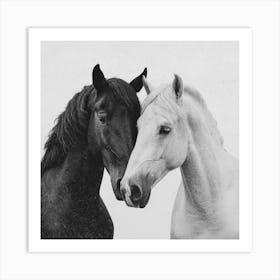 Black And White Horses Art Print