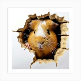 Guinea Pig Peeking Out Of Hole Art Print