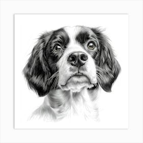 English Springer Spaniel 1 Art Print