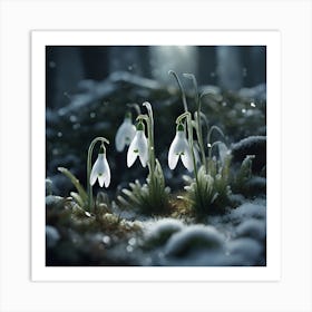 Frosty Morning, Snowdrops Art Print