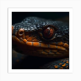 Black And Orange Snake Art Print