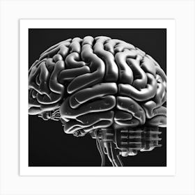 Brain 3d Illustration Art Print