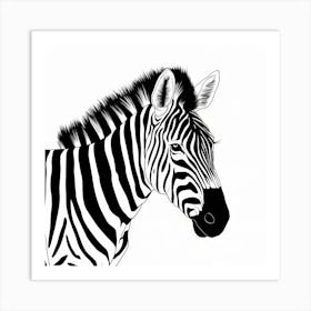 Zebra Art Print