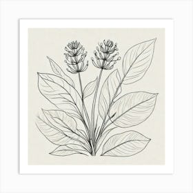 Drawing Of A Flower Art Print