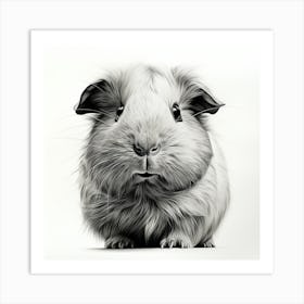 Portrait Of A Guinea Pig  Art Print