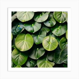 Close Up Of Green Leaves Art Print