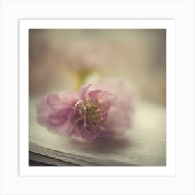 A Close Up Of A Delicate Book Bud Just Beginning To Bloom, With Soft Petals And Hints Of Vibrant Col (2) Art Print