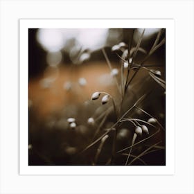 Low Light Nature No 8 Art Print