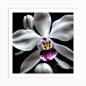 Orchid Flower, Black And White, Focal Point Of Color, Lighting Art Print