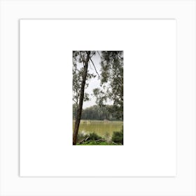 Sydney Park Art Print