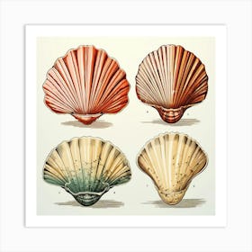 Vintage Seashells Art Print