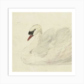 Swan 2 Art Print