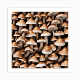 Mushrooms On A Black Background 8 Art Print