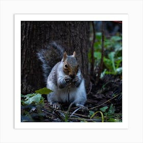 Grey Squirrel Art Print