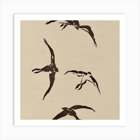 Four Birds In Flight Art Print