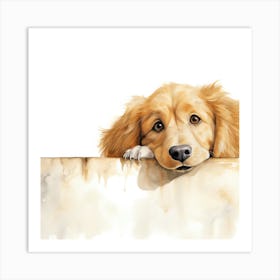 Golden Retriever 3 Art Print