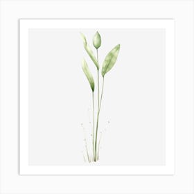 Tulip 1 Art Print