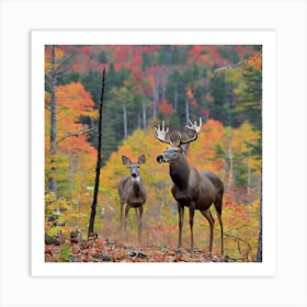 Deer In The Woods Art Print