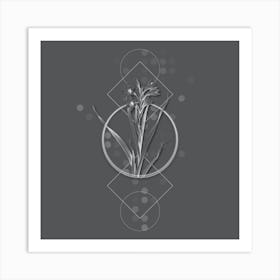 Vintage Sword Lily Botanical with Line Motif and Dot Pattern in Ghost Gray n.0025 Art Print