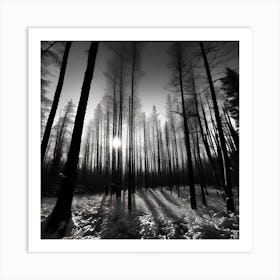 Black And White Forest 5 Art Print