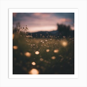 Field Of Daisies Art Print