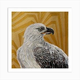 White falcon Art Print