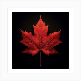 Maple Leaf On Black Background Art Print