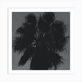 Palm Tree Close Up Square Photo Photography Black And White Gray Grey Nature Bedroom Living Room Art Print