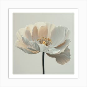 White Poppy Art Print