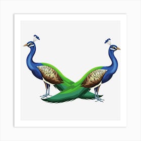 Peacocks Birds Animals Peafowls Peafowls Wildlife Nature Colorful Beak Feathers Plumage Art Print