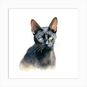 Bombay Sable Cat Portrait 1 Art Print