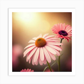 Pink Daisies Art Print