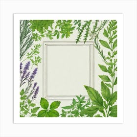 Herbs As A Frame (59) Art Print