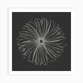 White Daisy Art Print