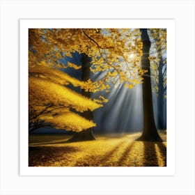 Autumn Sunlight Art Print