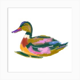 Duck 06 Art Print