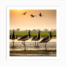 Birds At Sunset Art Print