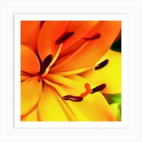 Yellow Lily Art Print