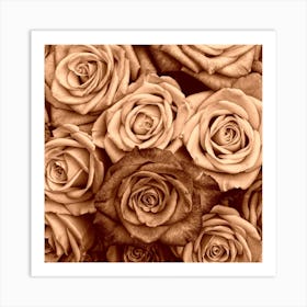 Sepia Roses Art Print